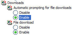 Internet Explorer 6 security settings download files options